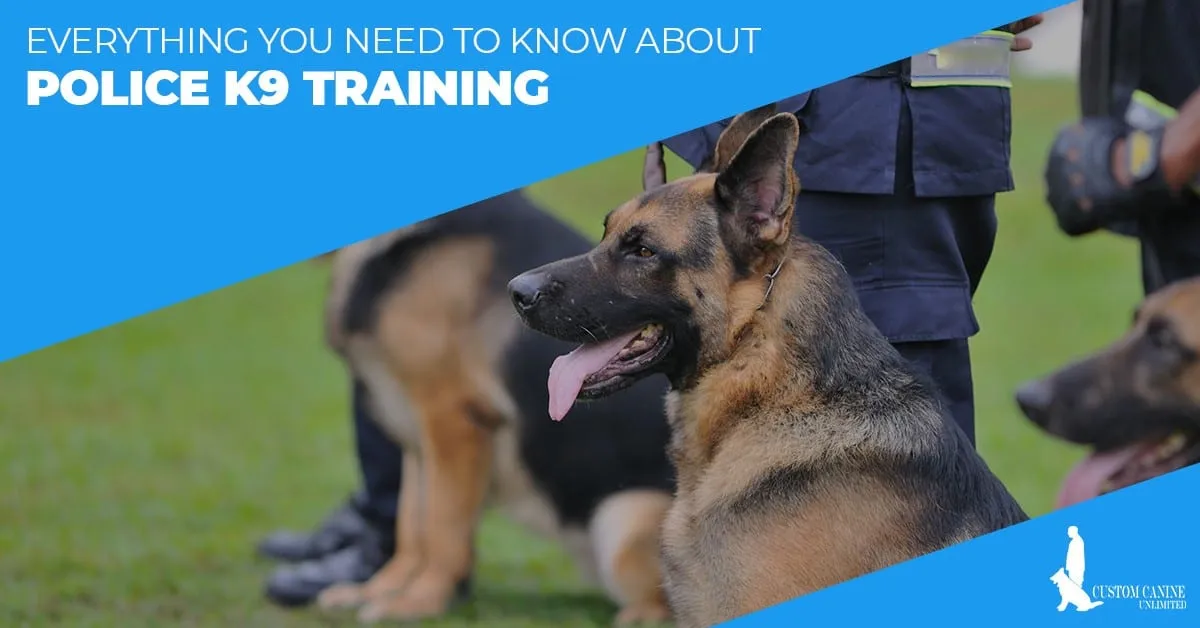 k9 dogs training