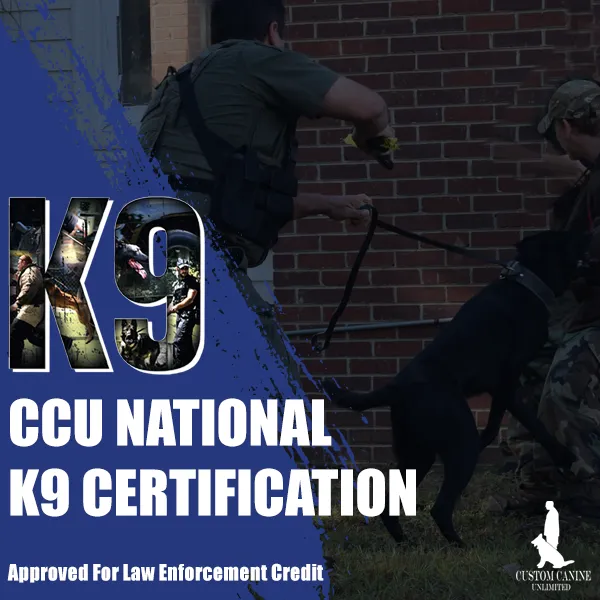 CCU National K Certification Site Long