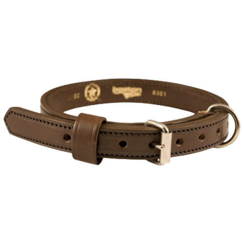 Boston Leather 1" K-9 Collar