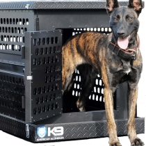 Dutchie standing inside and out of black crate