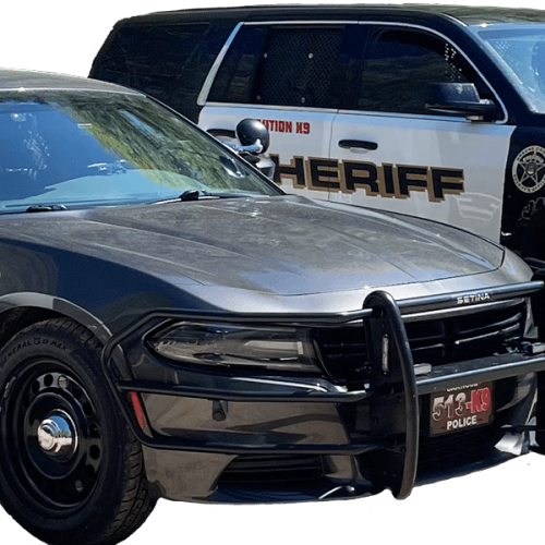 K9 Vehicle