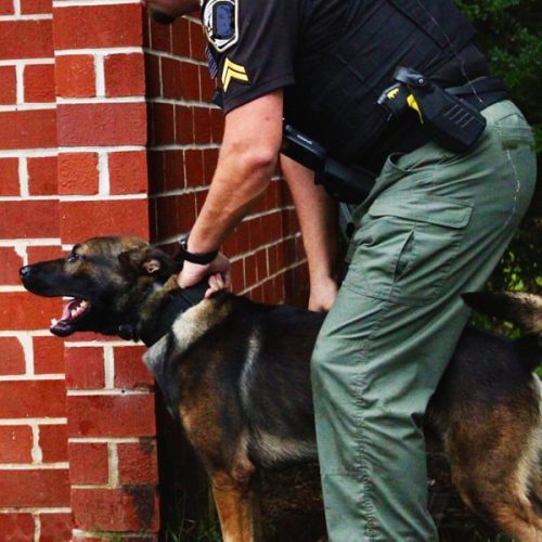 K9 Deployment