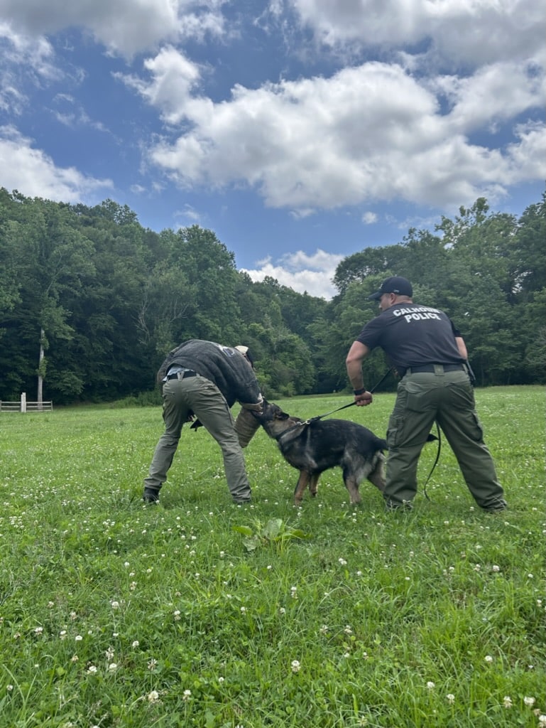 two police officers with a dog in a field