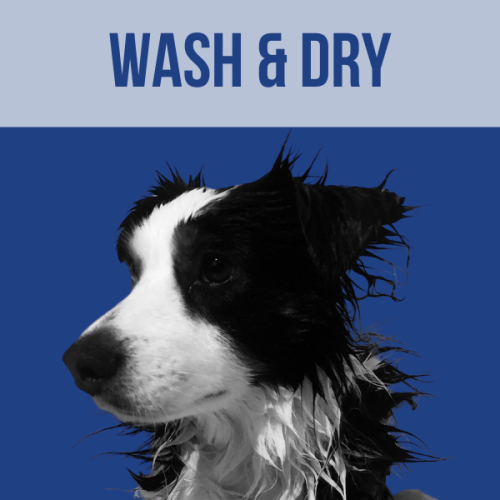 Wash & Dry Grooming