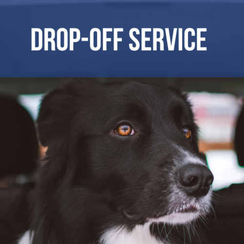 Pet Drop-off Service
