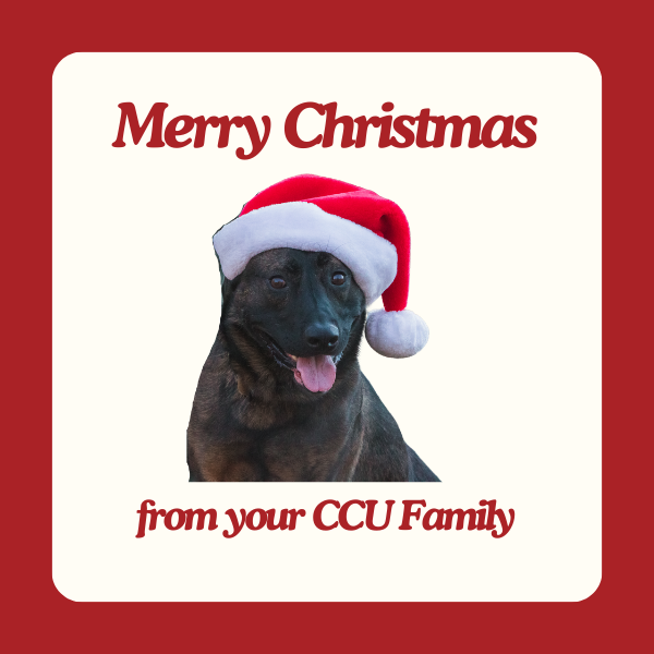 holiday hours post