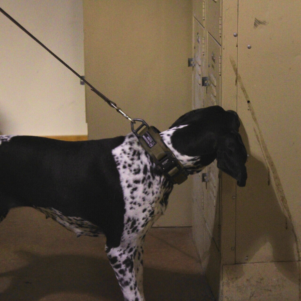 Firearms Detection for Universities Colleges