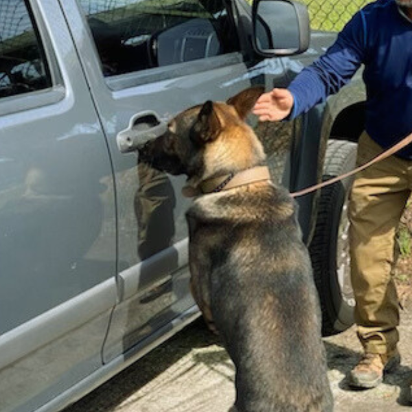Explosives Detection for Universities Colleges
