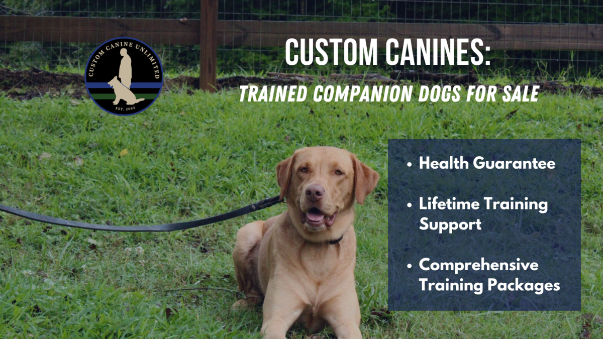 Home Trained Dogs For Sale