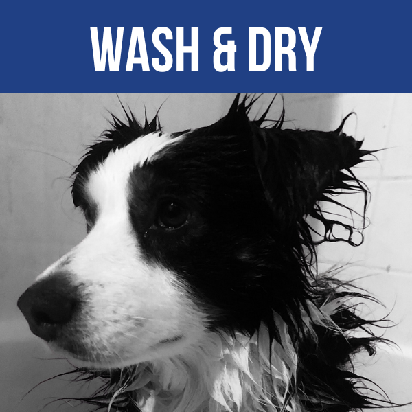 Wash & Dry Grooming
