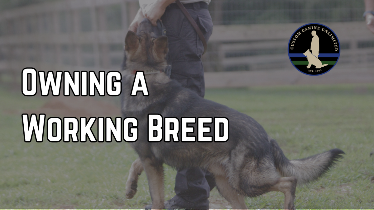 Owning a Working Breed Owning a Working Breed