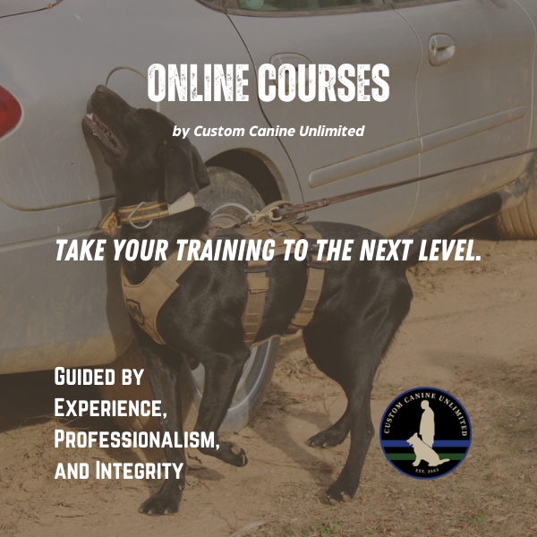 Picture of black labrador retriever sniffing a silver car with the words "Online Courses by Custom Canine Unlimited" in white font.