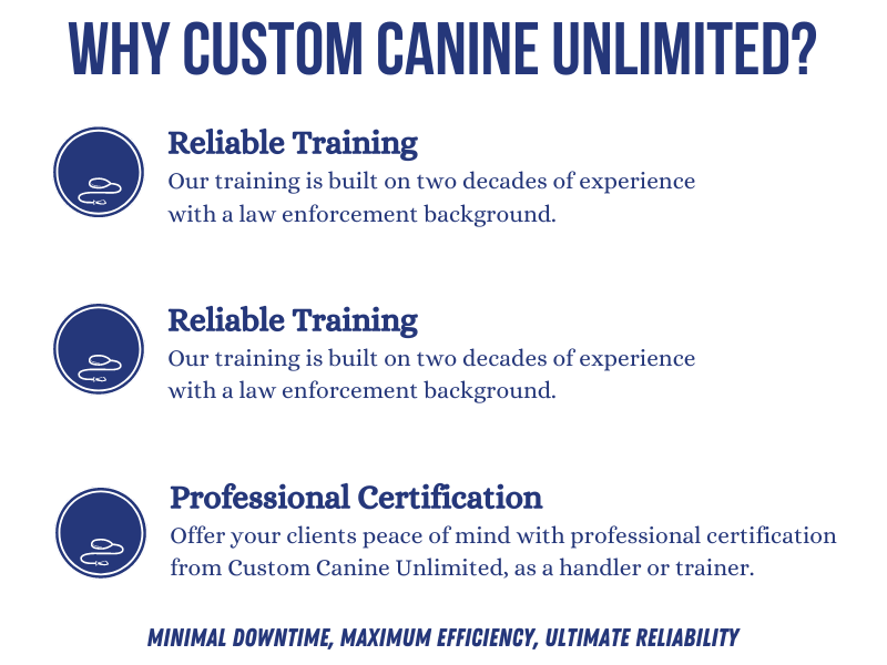 Veteran Infographic Reliable Training Our training is built on two decades of experience with a law enforcement background. Reliable Training Our training is built on two decades of experience with a law enforcement background. Professional Certification Offer your clients peace of mind with professional certification from Custom Canine Unlimited, as a handler or trainer. Minimal Downtime, Maximum Efficiency, Ultimate Reliability