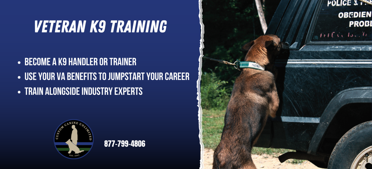 Veteran Training Banner
