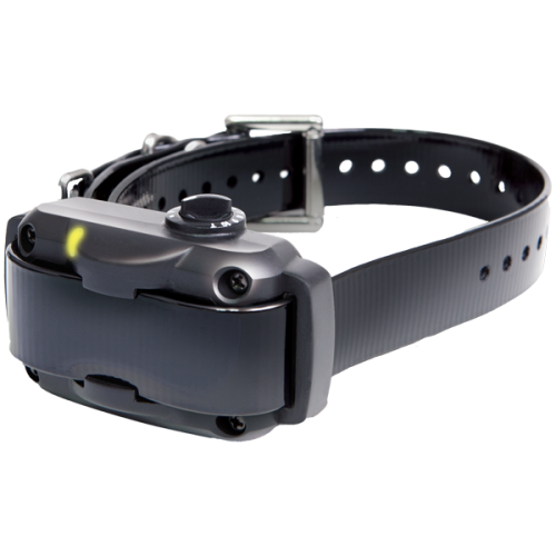 Dogtra YS600 No Bark Collar