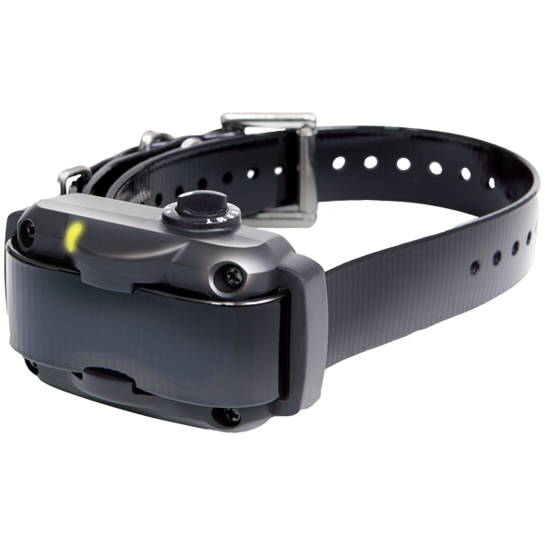 Dogtra YS600 No Bark Collar