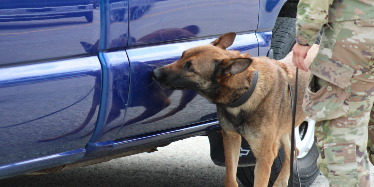 MWD Doing Vehicle Detection with His Handler MWD Vehicle Detection