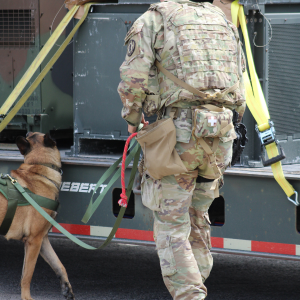 MWD Law Enforcement Course: MWD and his Handler doing detection