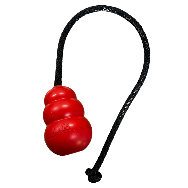 Regular Kong with Rope - Image 2