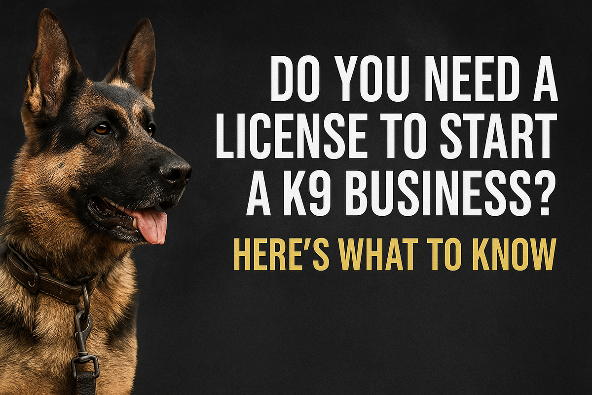 Do You Need A license To Start A K9 Business
