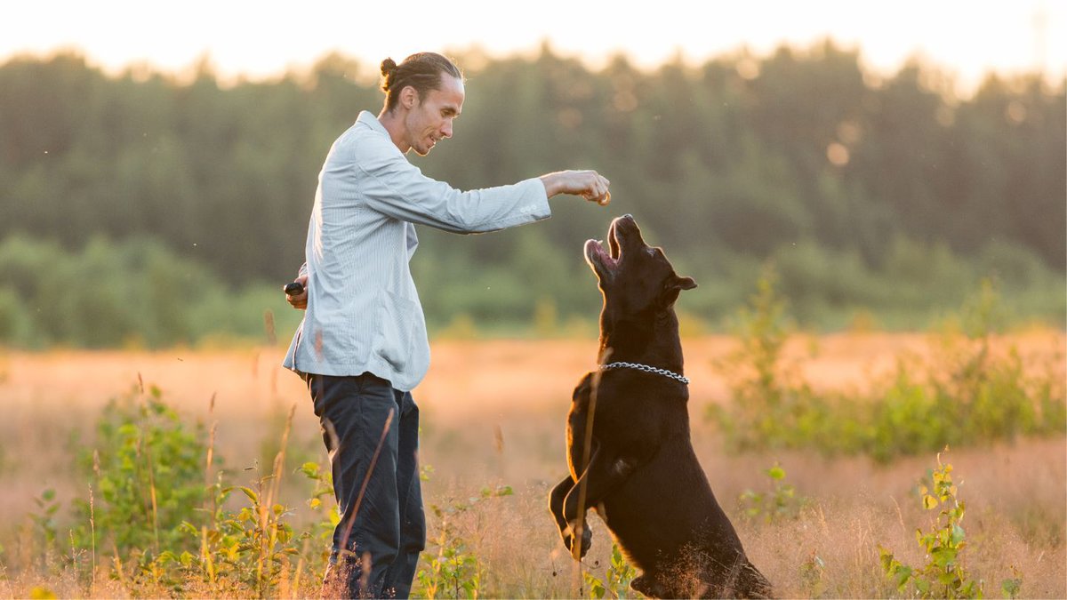 Commands for Managing Behavior