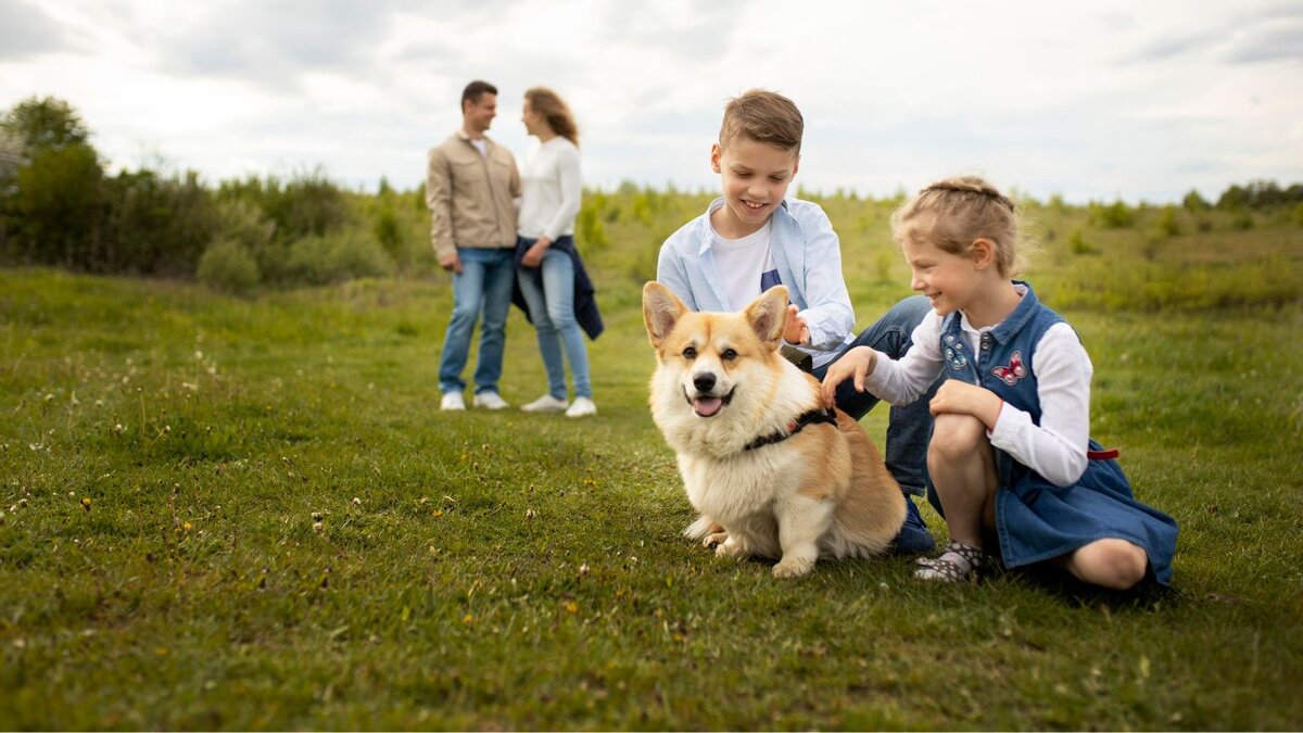 Fun Tricks for Bonding and Entertainment
