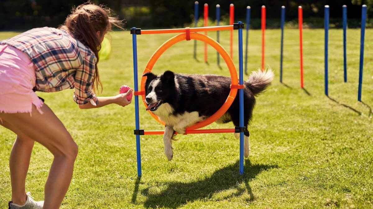 Building Basic Obstacles