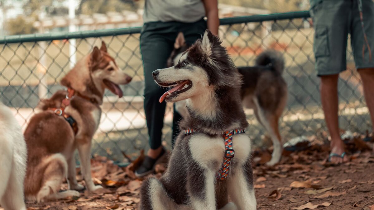 Social Benefits of Training