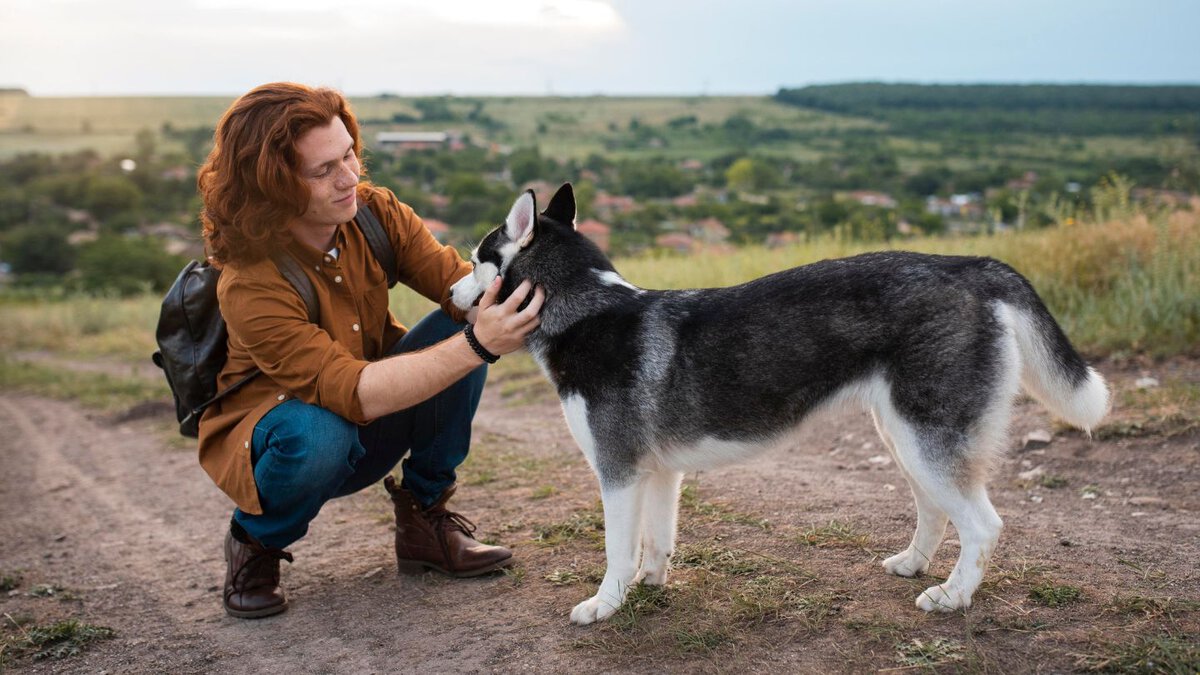 Strengthening the Bond with Your Canine Companion