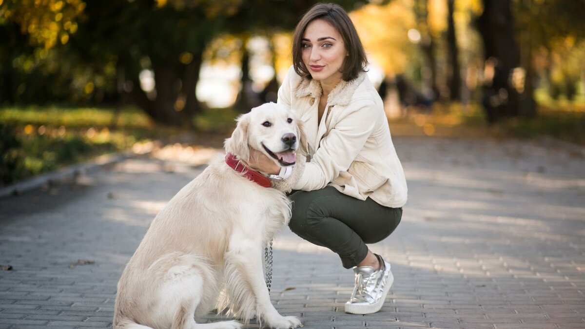 Adult Dogs (2–5 Years): Easier Focus, But More Habit Re-Training