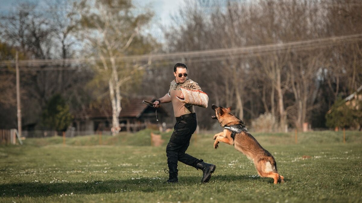 Development of Modern K9 Units Around the World