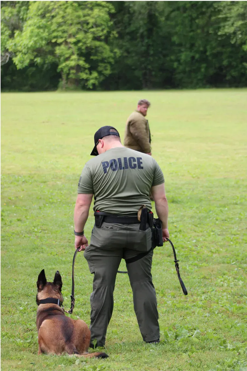 Police K9 training session in a lush green field with handler and working dog.