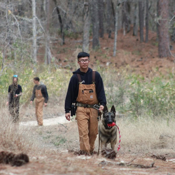 Hiking with a trained police dog in the woods Police dog training in outdoor forest setting.