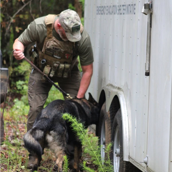 Working Dog Training with Handler and German Shepherd Handler training a German Shepherd dog for service or protection skills outdoors.