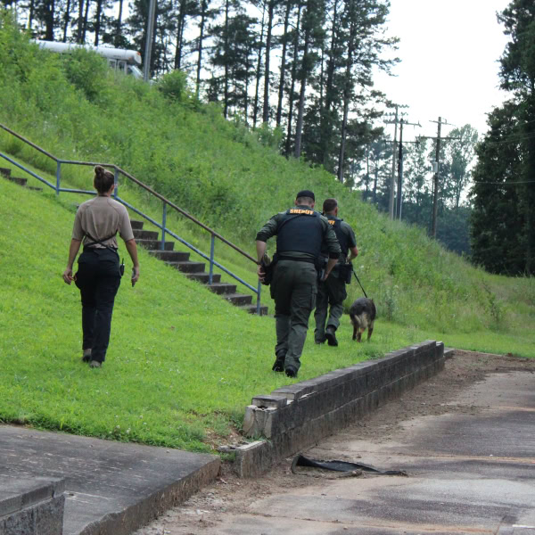 Protection and patrol dogs