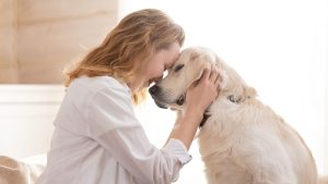 How to Choose the Right Dog Training Facility 