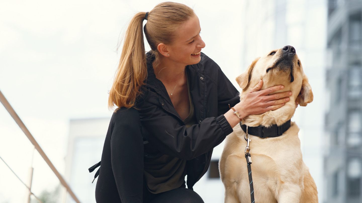 Building Trust Through Continued Support