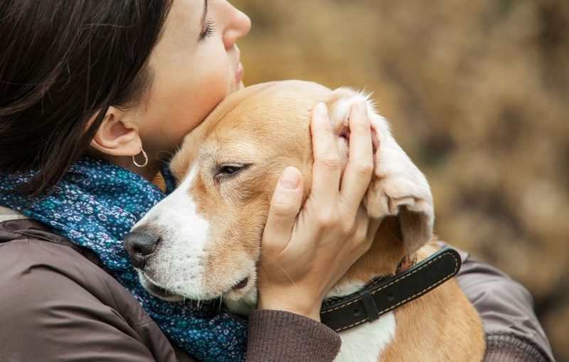 Dog Owner Comforting An Anxious Dog Dog Owner Comforting An Anxious Dog
