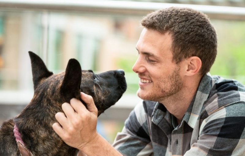Dog Owner Playing With Pet Dog Owner Playing With Pet