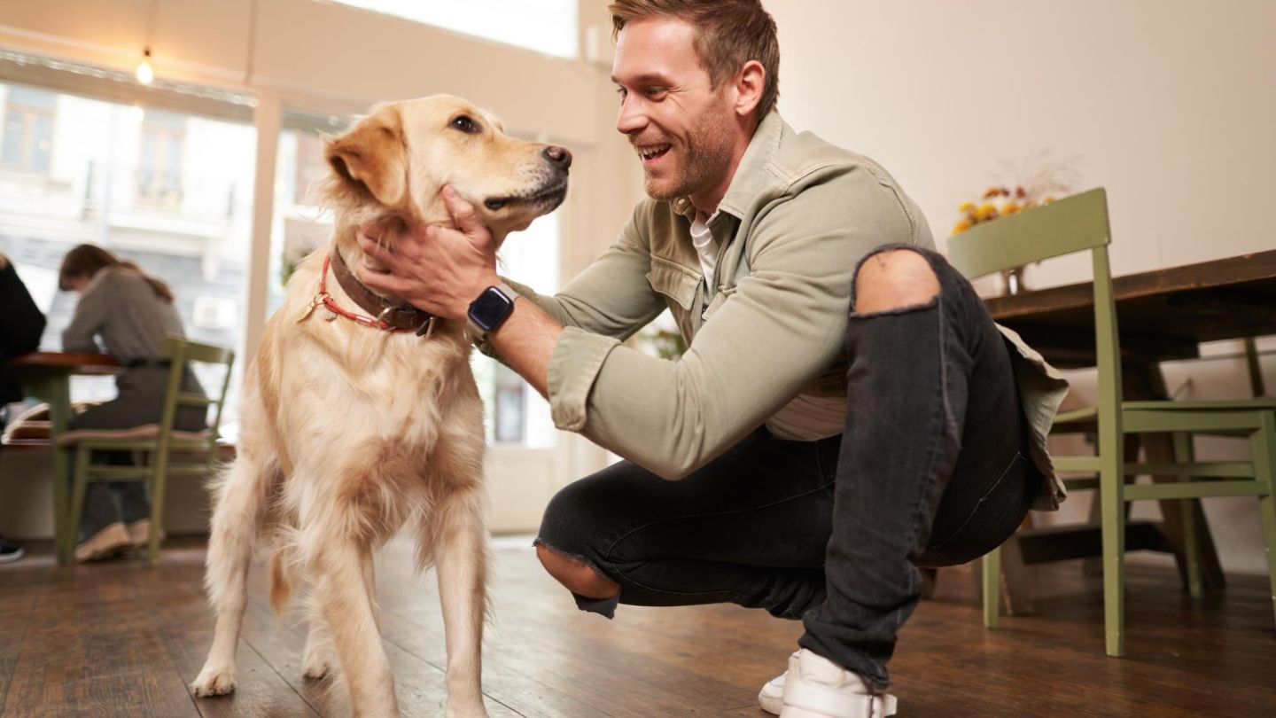 Nitro’s Journey Toward Better Behavior