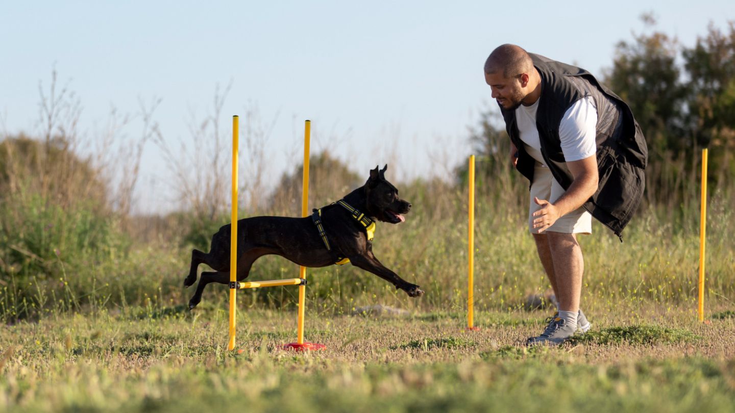 Proper Drive and Instincts